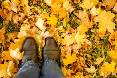 Sonbahar, sonbahar, yapraklar, bacaklar ve ayakkabılar. Sonbahar yapraklarında çizmeli bacakların kavramsal görüntüsü. Doğada yürüyen ayaklar