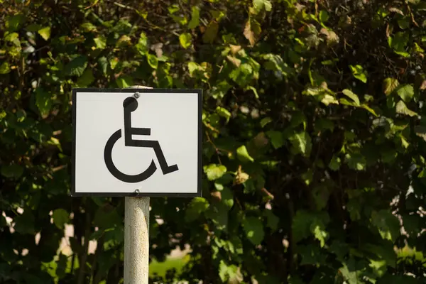 stock image Road sign on a background of asphalt. Disabled parking. The texture of the tarmac, top view.