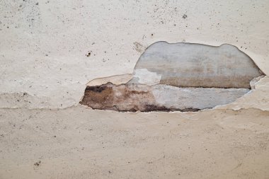 Büyük ıslak siyah küf ve duvarda çatlaklar.