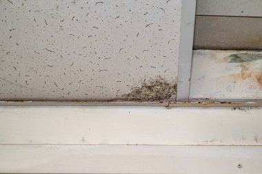 Yağmur suyu ya da zemin ısıtma sistemlerini su basması, hasara neden olması, boya ve küf soyulması