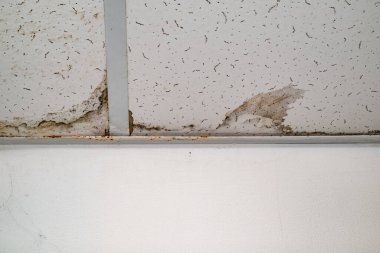 Yağmur suyu ya da zemin ısıtma sistemlerini su basması, hasara neden olması, boya ve küf soyulması