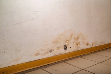 Yağmur suyu ya da zemin ısıtma sistemlerini su basması, hasara neden olması, boya ve küf soyulması