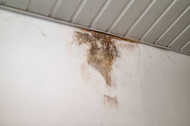 Yağmur suyu ya da zemin ısıtma sistemlerini su basması, hasara neden olması, boya ve küf soyulması