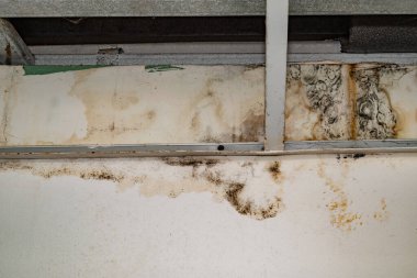 Yağmur suyu ya da zemin ısıtma sistemlerini su basması, hasara neden olması, boya ve küf soyulması