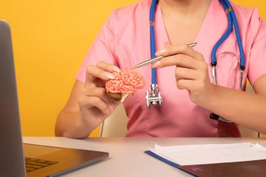 Kadın doktor kalem anatomik model insan beyni gösteriyor. Yardım ve bakım kavramı