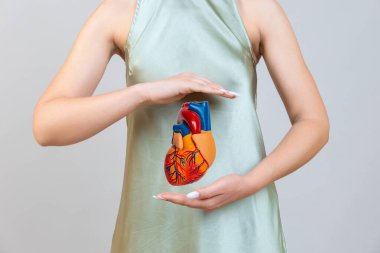 Kardiyovasküler hastalık CVD, hastanede tedavi gören hasta için kalp insan modeli anatomisi olan doktor. Yüksek kalite fotoğraf