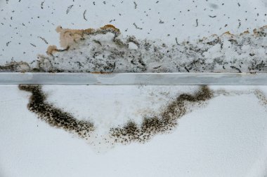 Su boru hatları sızıntısı hasar tavan. Konut problemi konsepti