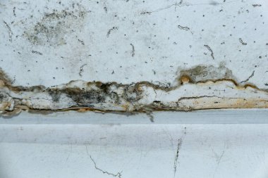 Su boru hatları sızıntısı hasar tavan. Konut problemi konsepti