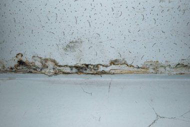 Su boru hatları sızıntısı hasar tavan. Konut problemi konsepti