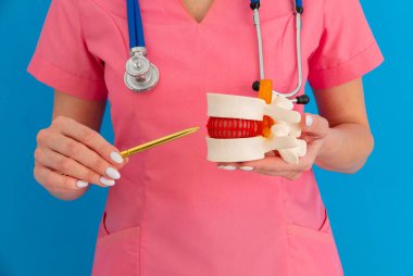 Tıbbi klinikte danışmanlık yaparken doktor elinde anatomik bel fıtığı modeli var. Omurgalar arası fıtık tedavisi