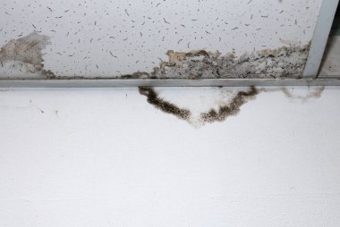Yağmur suyu ya da zemin ısıtma sistemlerini su basması, hasara neden olması, boya ve küf soyulması.