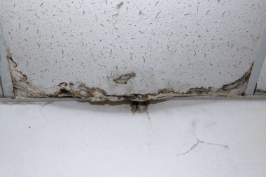 Yağmur suyu ya da zemin ısıtma sistemlerini su basması, hasara neden olması, boya ve küf soyulması.