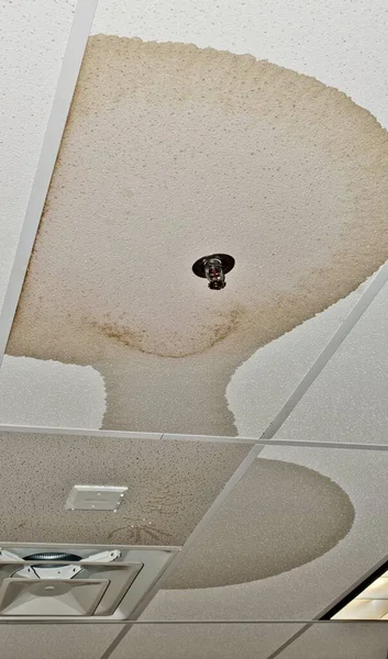 Ceiling damage from a water pipe leak in an interior ceiling from a faulty fire sprinkler system.