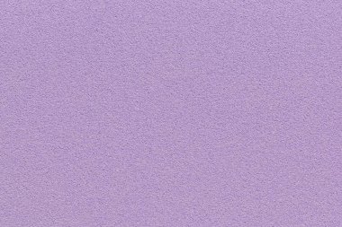 Purple lavender solid background color. Porous textured blank surface with copy space.