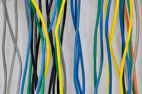 Colorful electrical cables hanging on a wall vertically. CAT5 Twisted pair cables for computer networks.