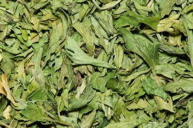 Kurutulmuş Maydanoz bitkisel yeşil arka plan görüntüsünü bozar. Petroselinum crispum dünya çapında yaygın olarak kullanılan bir sebze garnitürüdür..