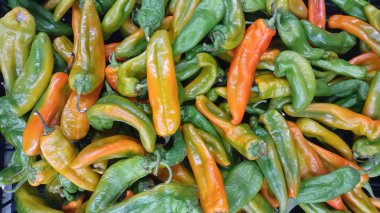 Houston 'daki geleneksel sebze pazarında taze yeşil Hatch Chili biberleri, TX yakın çekim görüntüsü. Kapak biberleri, Jalapeno 'dan Habanero' ya kadar değişen sıcaklıklarla çeşitli şekillerde gelir. New Mexico 'da, Hatch Valley bölgesinde yetişiyorlar..