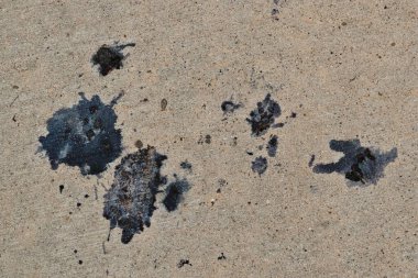 Bird berry poop stains on pavement birds dropping stain removal cleaning concept. clipart