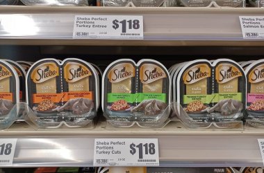 Houston, Teksas ABD 07-19-2025: Süpermarket raflarındaki konserve kutuları.