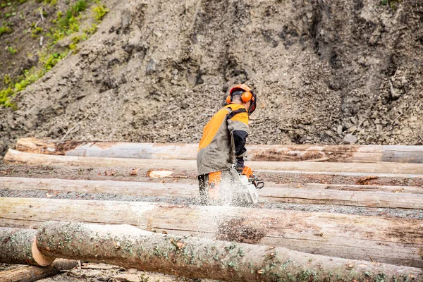 Λάμπερμαν Δουλεύει Αλυσοπρίονο Στο Δάσος Αποψίλωση Των Δασών Ιδέα Κοπής — Φωτογραφία Αρχείου