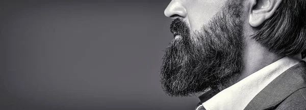 Una Barba Perfecta Primer Plano Del Hombre Barbudo Hombre Barbudo — Foto de Stock