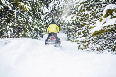 Dağ ormanlarında kar motosikletinin pilotu. Sporcu dağlarda kar motosikletine biner. Karda kar arabası. Kış sporları kavramı. Adam dağlarda kar motosikleti sürüyor..