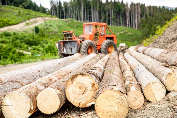 森林産業 森の中で働いている現代の収穫機とルンベルジャック 車輪付きローダー 木材グラブ 木の伐採 木の伐採 森林保護の概念 — ストック写真
