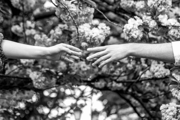 Związki Rodzinne Ręce Wiosna Miłość Ręce Kochankowie Trzymają Się Ręce — Zdjęcie stockowe