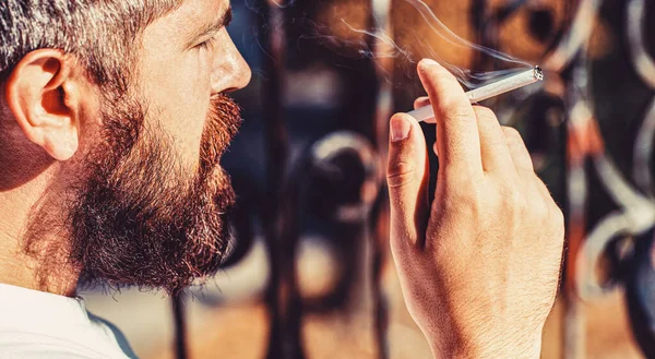 Σιγοκαίει Πούρα Κάπνιζε Άντρας Κάπνιζε Πούρο Καπνιστής Μούσι Νεαρός Χίπστερ — Φωτογραφία Αρχείου