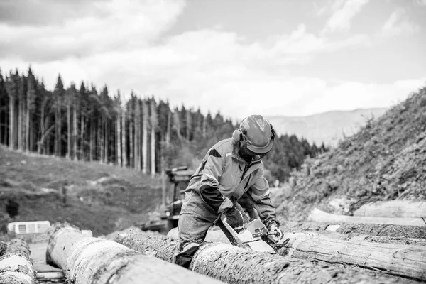 Σκληρό Ξύλο Που Δουλεύει Στο Δάσος Λάμπερμαν Δουλεύει Αλυσοπρίονο Στο — Φωτογραφία Αρχείου