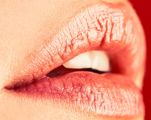 美しい唇を閉じてください セクシーなふっくらした唇ヌード口紅 セクシーなフル唇をプランプします ピンクの口紅 完璧なナチュラルリップメイク — ストック写真