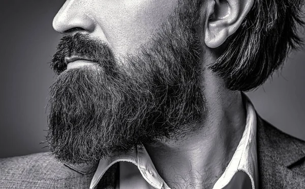 Perfect beard. Close-up of young bearded man. Close up of handsome beard hipster elegant male. Bearded man close up. Closeup of bearded mans. Male with mustache growing. Black and white.
