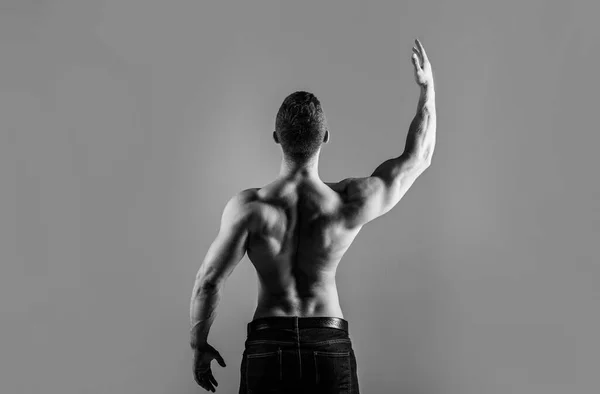 Man Otot Lengan Triceps Pinggang Pinggang Pria Dengan Tubuh Yang — Stok Foto