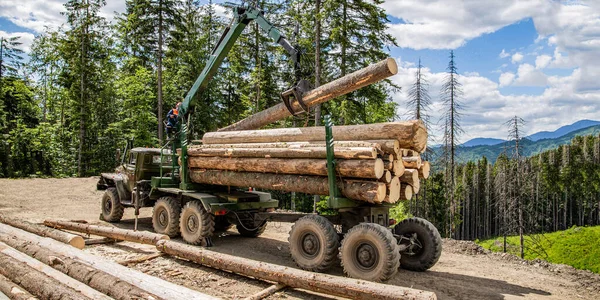 Wheel Mounted Loader Timber Grab Lumberjack Modern Harvester Working Forest — Stock Photo, Image
