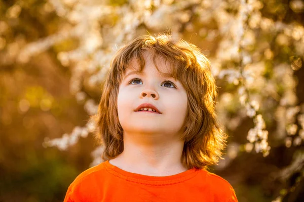 快乐的小男孩在春天的花园里散步 好奇儿童的春季活动 小男孩在户外散步 春天的天气 阳光灿烂 在阳光下轻松自在 — 图库照片