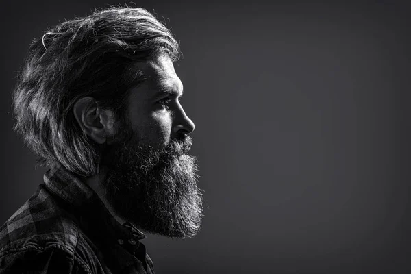 Portrait Brutal Handsome Male Black Beard Portrait Brutal Bearded Man — Stock Photo, Image