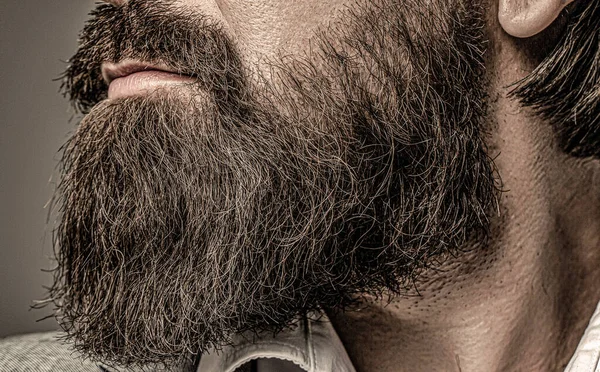 Closeup Bearded Mans Male Mustache Growing Perfect Beard Close Young — Stock Photo, Image