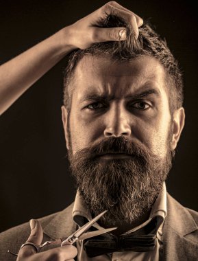 Berber makası. Yakışıklı sakallı. Klasik berber dükkanı, tıraş. Erkek tıraşı. Sakallı, uzun sakallı, vahşi, bıyıklı, beyaz bir hippi.