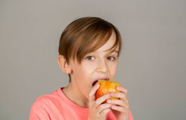 Erkek elmaları görünüyor. Elmalı çocuk. Elma tutan küçük şirin bir çocuğun portresi. Bebek elma yiyor ve gülümsüyor. Çocuk gülümsüyor ve sağlıklı beyaz dişleri var. Küçük çocuk elma yiyor..