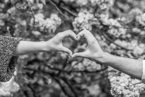 女性と男性の手はハートです 美しい若いカップルは 桜の背景に指の心を作っています ブラック ホワイト — ストック写真