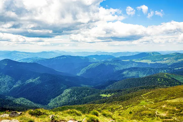 Landscape in green meadows and blooming flowers and snow-capped mountain. Mountains ridge high rocky peaks. Mountain landscape with hiking trail. Mountain path. Springtime landscape in mountains.