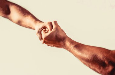 Sıkı tutun. İki el, bir arkadaşın yardım eli. El sıkışma, silah arkadaşlığı. Dostça tokalaşma, dostça selamlaşma, takım çalışması, arkadaşlık. Kurtarma, yardım jestleri veya eller.