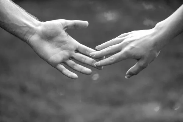 Female Male Hand Together Couple Holding Hands Park Hold Hands — Stock Photo, Image