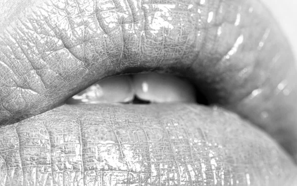 섹시한 완전한 입술을 자르십시오 완벽한 메이크업 클로즈업 메이크업 블랙과 화이트 — 스톡 사진