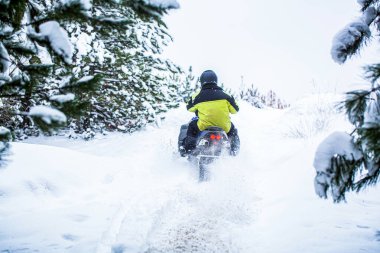 Karda kar arabası. Kış sporları kavramı. Adam dağlarda kar motosikleti sürüyor. Dağ ormanlarında kar motosikletinin pilotu. Dağlarda kar motosikleti süren bir sporcu.