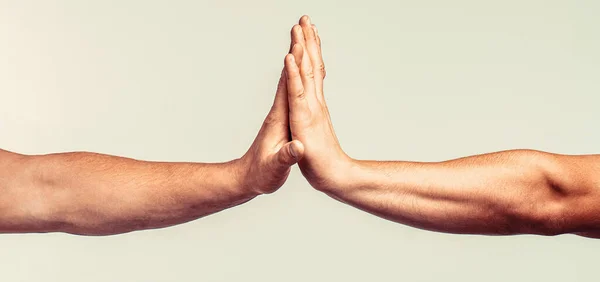Two hands gestures. Giving high five. Two hands, male and man. High five concept for success, teamwork, congratulating.