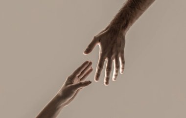 Erkek ve kadın elleri birbirine doğru uzanıyor. El kavramına ve uluslararası barış ve destek gününe yardım etmek. Uzanmış, izole edilmiş bir kol, kurtuluş. İki el, takım çalışması, dikey.