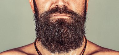 Uzun sakal bırakan yakışıklı, tıraşsız bir adamın portresi. Yakışıklı, vahşi erkek. Vahşi yakışıklı erkeğin seksi yakın plan portresi. Uzun sakallı ve bıyıklı adama yaklaş..