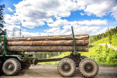 Kütükler traktörün üzerine katlanmış. Kereste kamyonu kereste fabrikasına kereste getirdi. Tahta depolama yerinde kereste taşıyıcısı ve testere kütükleri var. Orman endüstrisi. Tahta kütükleri taşımak için kamyon.