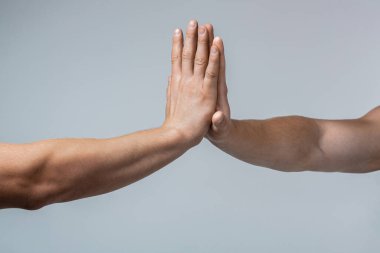 Çalışan insanlar takım çalışması ofis işleri ile tam bir başarı projesi yapınca iki elinle beşlik çakarsın. Erkek ve dişi el bir arada. Avuçtan avuca, gri bir arka planda izole edilmiş..